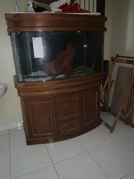 Aquarium bekas kaca cembung