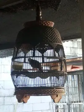 PERKUTUT BANGKOK