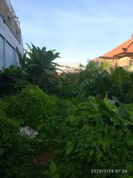 Jual tanah kosong area Bulu Indah Barat Gatsu Denpasar Bali
