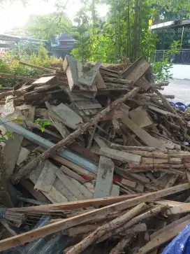 Kayu Gelam dan papan bekas GRATIS