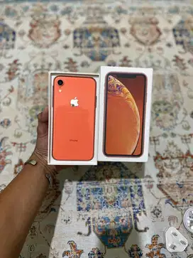 Iphone XR 64GB Coral