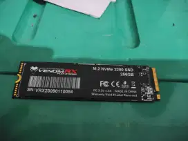 SSD M.2 NVMe Venom RX 256Gb