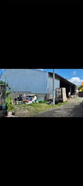 Dijual tanah murah,1 are di jalan nagasari penatih denpasar bali