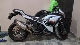 Kawasaki Ninja 250 fi 2013 LOW Kilometer