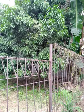Tanah di jual murah