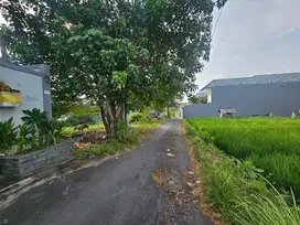 Tanah Bumbak Umalas Kerobokan Badung