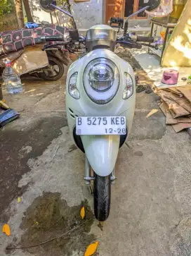 Scoopy 2023 pajak off 1x