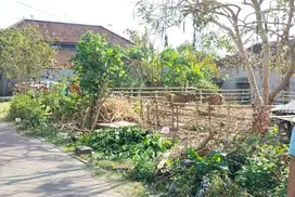 Di jual tanah di dekat gwk jalan kaki 5 menit ke gwk