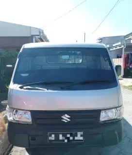 Suzuki carry pick up