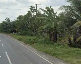 Tanah murah pinggir jalan raya Batunyale Praya Lombok.