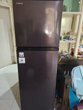 Kuskas 2 Pintu Toshiba