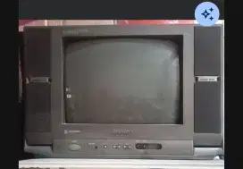 Tv tabung shap Xpression