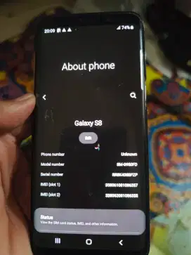Samsung S8 4/64 GB