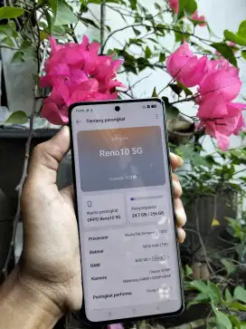Oppo Reno 10 5G 8/256 gb hp casan biasa