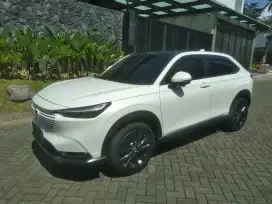 Hrv se 2022 orisinil cat
