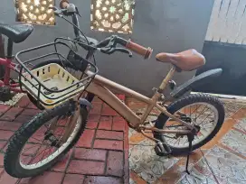 Sepeda Anak Ring 16