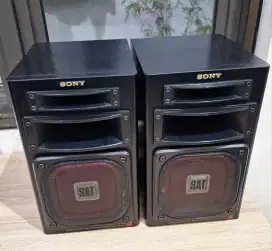 Speaker Sony (APM-909)