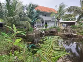 DIJUAL rumah 2 lantai belakang kolam dan kebun