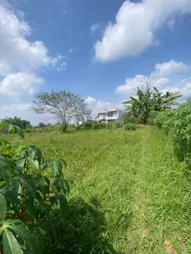 Tanah Dijual Joyo Agung – Lingkungan Tenang, Akses Mudah