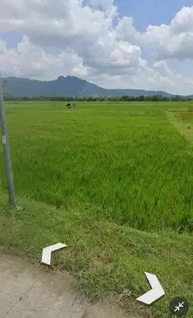 Di jual sebidang tanah pekarangan (Selogiri)