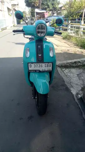 Fazzio 2023 neo hybrid