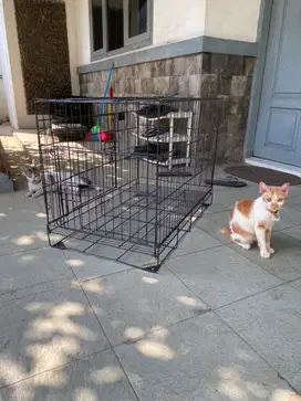 Kandang kucing dan anjing