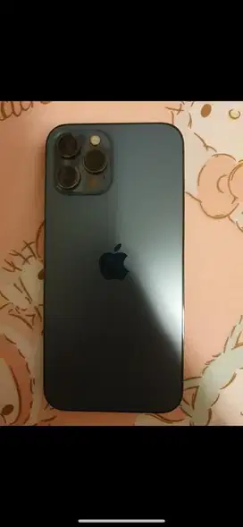 Iphone 12 Pro Max 256 Gb Dual Sim