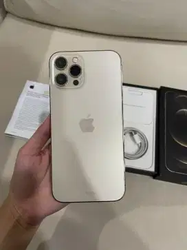 Iphone 12 Pro Max 128gb - Ex Ibox Mulus (Nego Tipis)