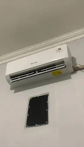 Ac Sharp 1/2 PK