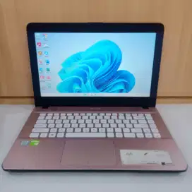 Asus Vivobook x441UBR
