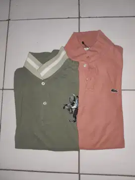polo lacoste & giordano