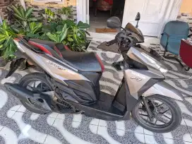 Vario 150 Cc plat B