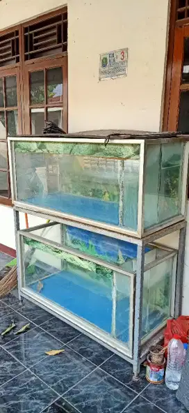 Aquarium big size