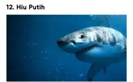 Dicari sopir pribadi