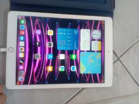 iPad Air 2 64 GB wifi cell