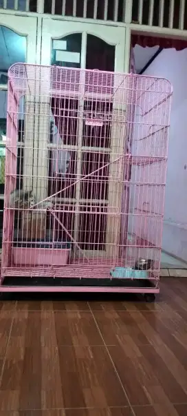 Kandang kucing jumbo warna pink