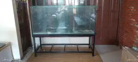 Aquarium arwana, louhan, aquascape