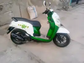 scopy donat 2018