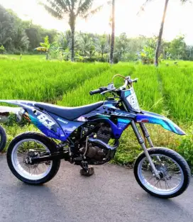 KLX Gordon 200cc basic tiger