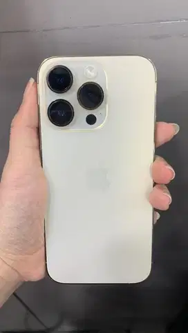 Iphone 14 Pro Gold 256gb