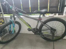 Sepeda polygon thunder