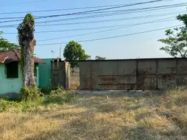 Tanah Strategis Pantura Mundu