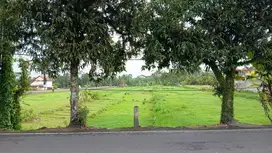 DIJUAL LAHAN PINGGIR JALAN UTAMA KEDEWATAN - UBUD - BALI