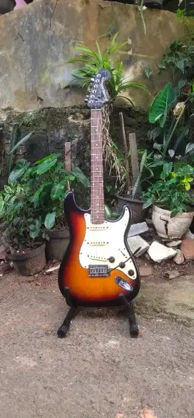 Squier standart series original