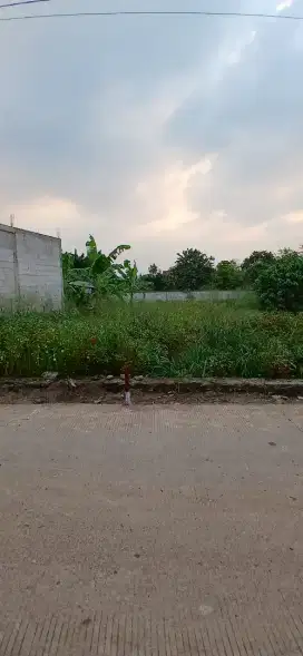 TANAH INI BISA BUAT USAHA TERNAK  DAN GUDANG