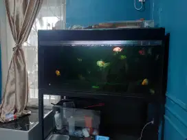 Aqurium 120x60x60 kaca 10 mili full