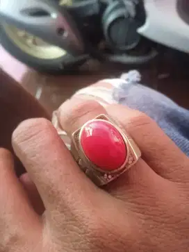 Di jual batu red coral/marjan