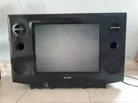 TV Sharp Flexander Slim 21in