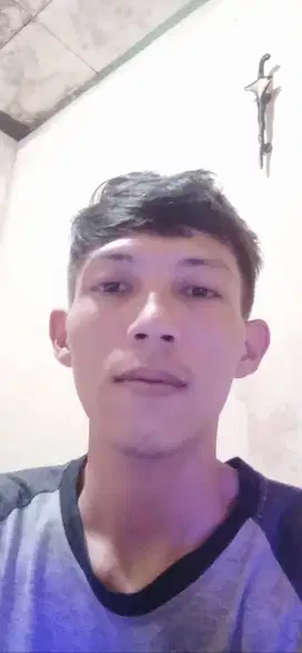 Supir pribadi, keluarga, kantor , pengiriman dll