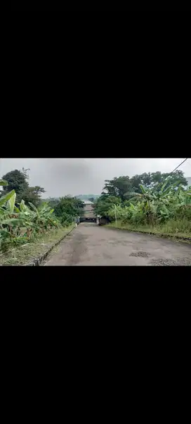 Tanah Di Bukit Hambalang 1,2Ha Cocok u Hotel, Resort, Cafe, Hambalang